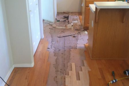 sergey iphone 4 2014 024.JPG